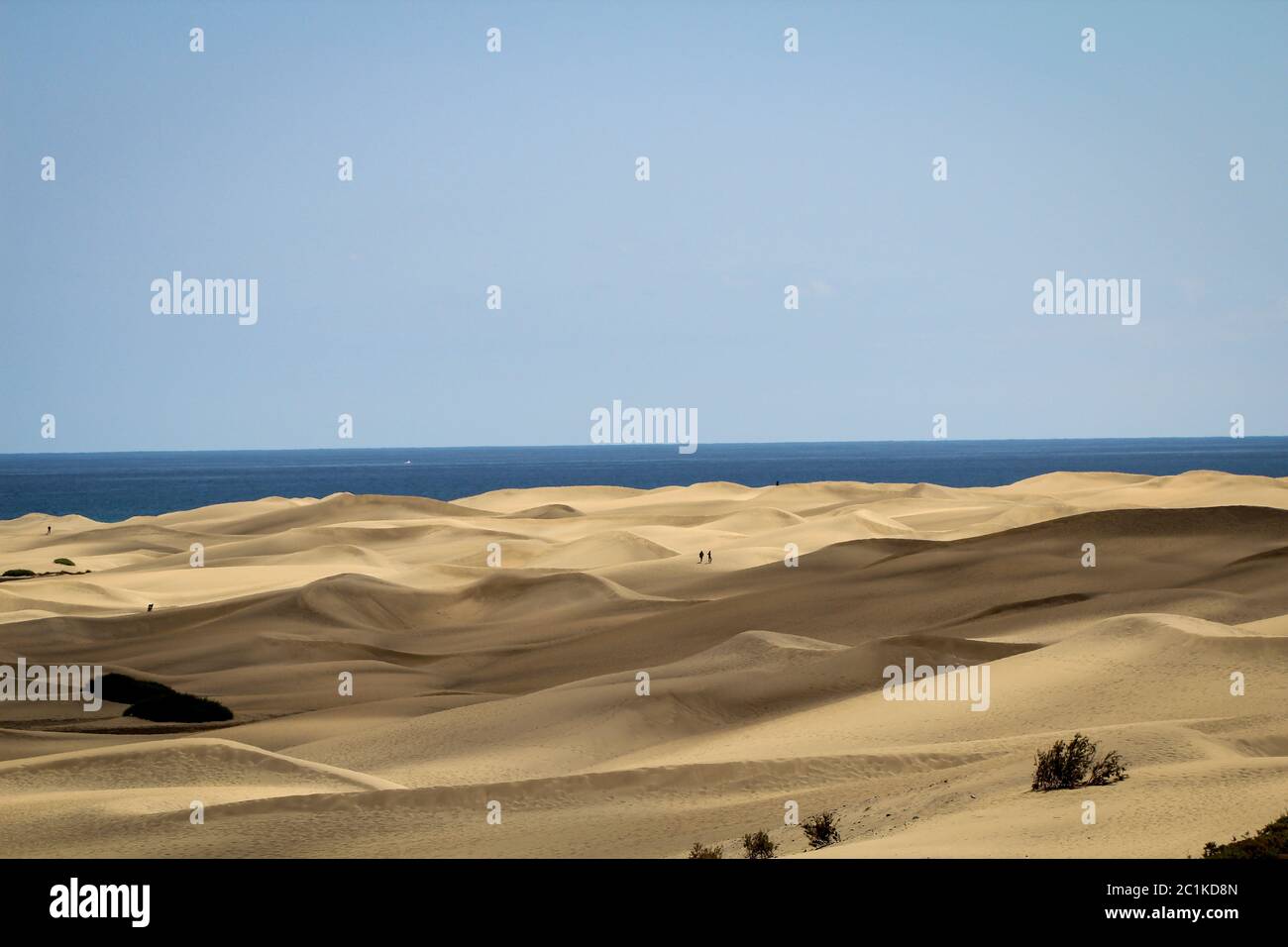 Dettagli di sabbia, deserto sabbioso, dune, dune mobili, deserto Foto Stock