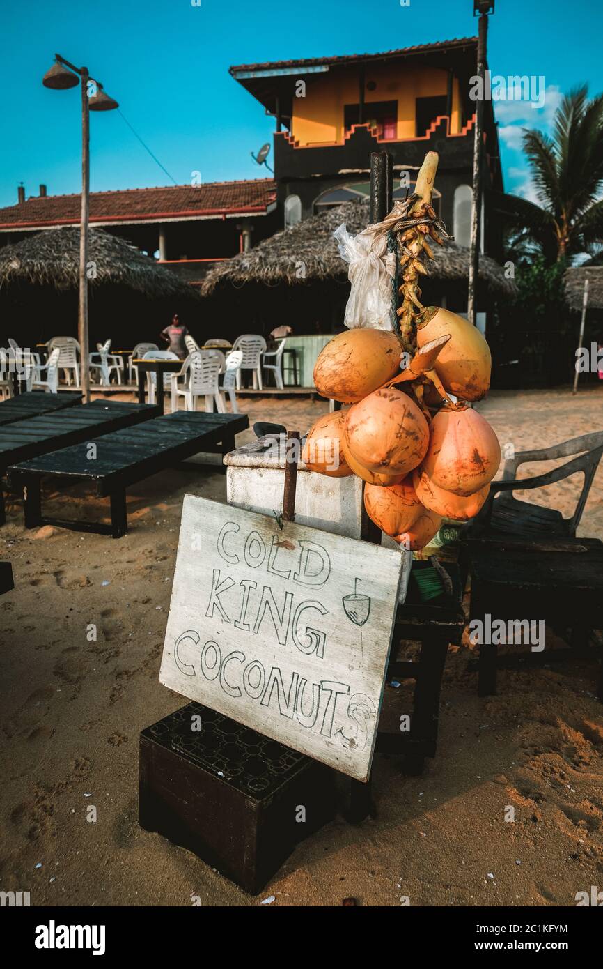 Posto di vendita di acqua di cocco fresca del re alla spiaggia di Hikkaduwa, Sri Lanka. Segno con un'offerta allettante per un giorno caldo comprare un mazzo di noci di cocco. Foto Stock