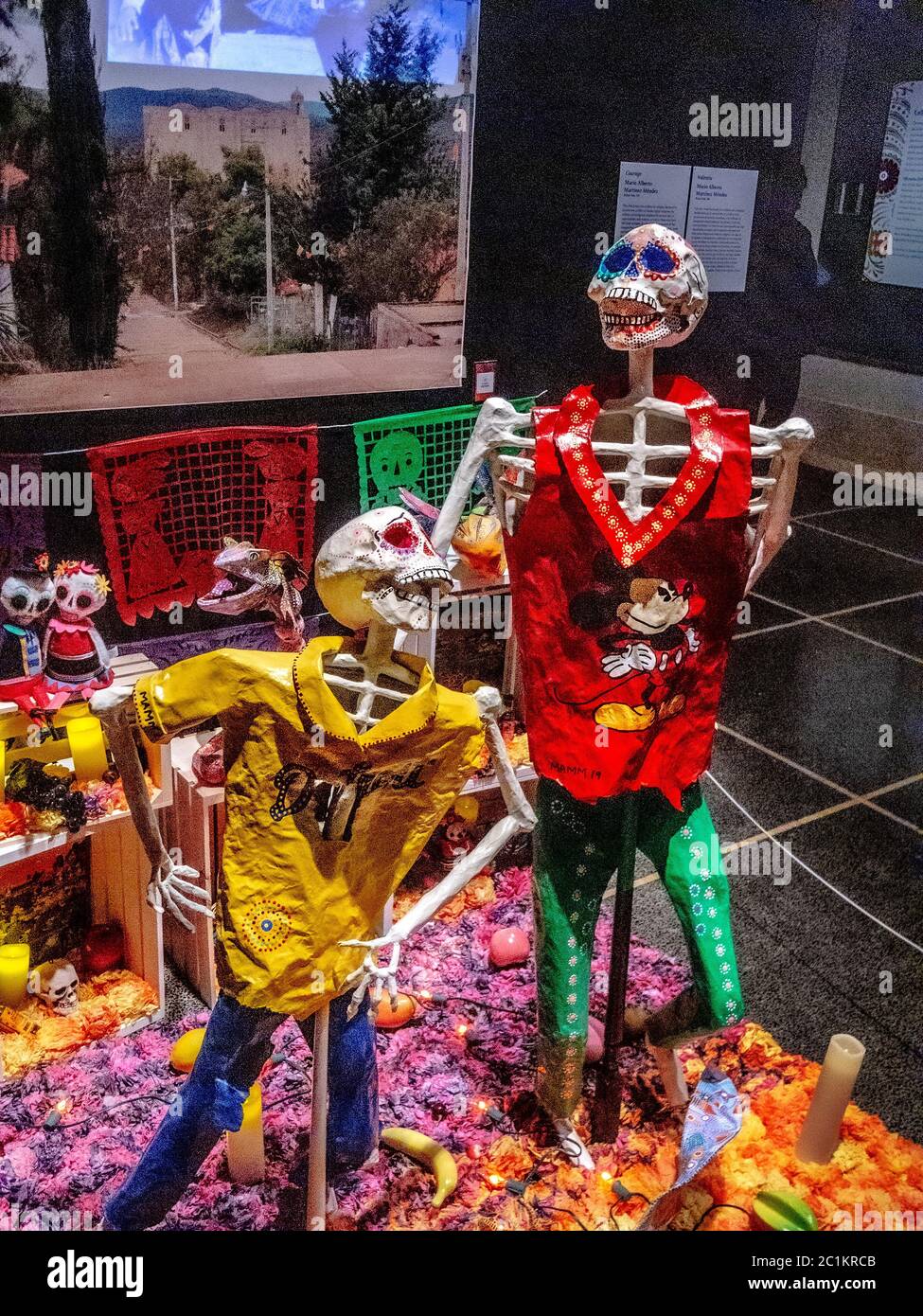 Un'opera d'arte calivera o ofrenda dal titolo "coraggio" rappresenta i pericoli che gli immigrati devono affrontare a causa della povertà o dei pregiudizi razziali. Una calavera è una re Foto Stock Un'opera d'arte calivera o ofrenda dal titolo "coraggio" rappresenta i pericoli che gli immigrati devono affrontare a causa della povertà o dei pregiudizi razziali. Una calavera è una re Foto Stock