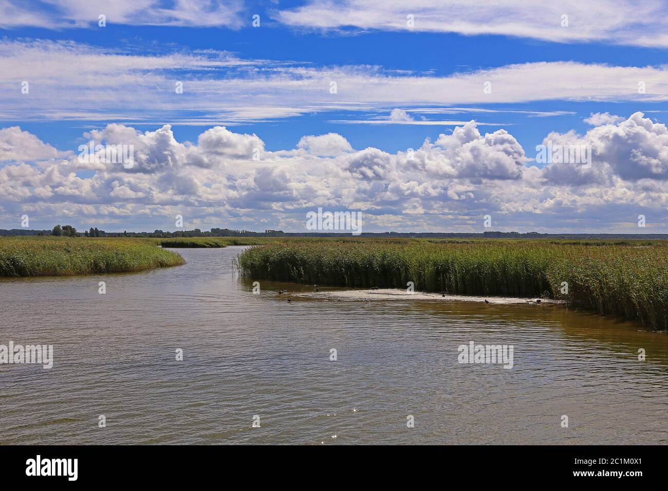 Il fiume Prerower da Barth verso Prerow Foto Stock