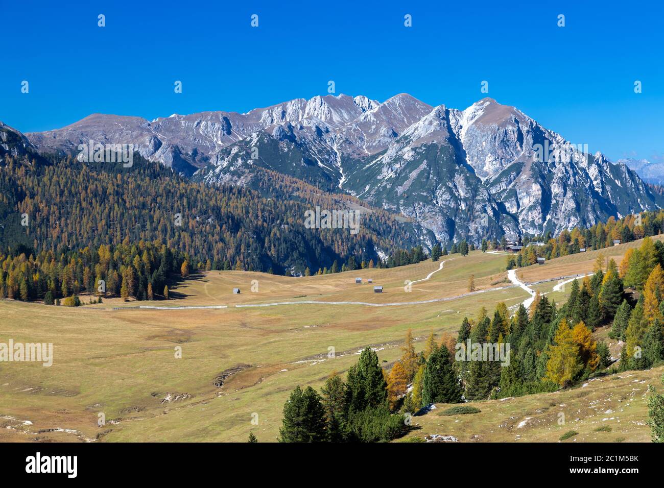 Vista su Prato Piazza, Dolomiti, Alto Adige Foto Stock