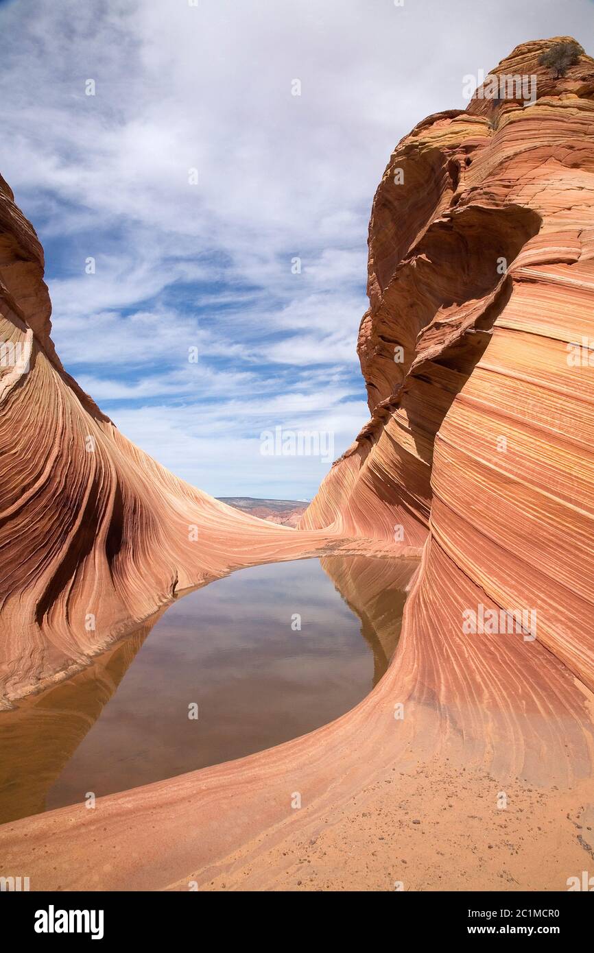 The Wave, North Cojote Buttes, Paria Canyon Vermillion Cliffs Wilderness, Arizona USA Foto Stock