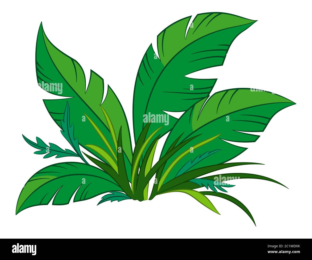 Pianta con foglie verdi Foto Stock