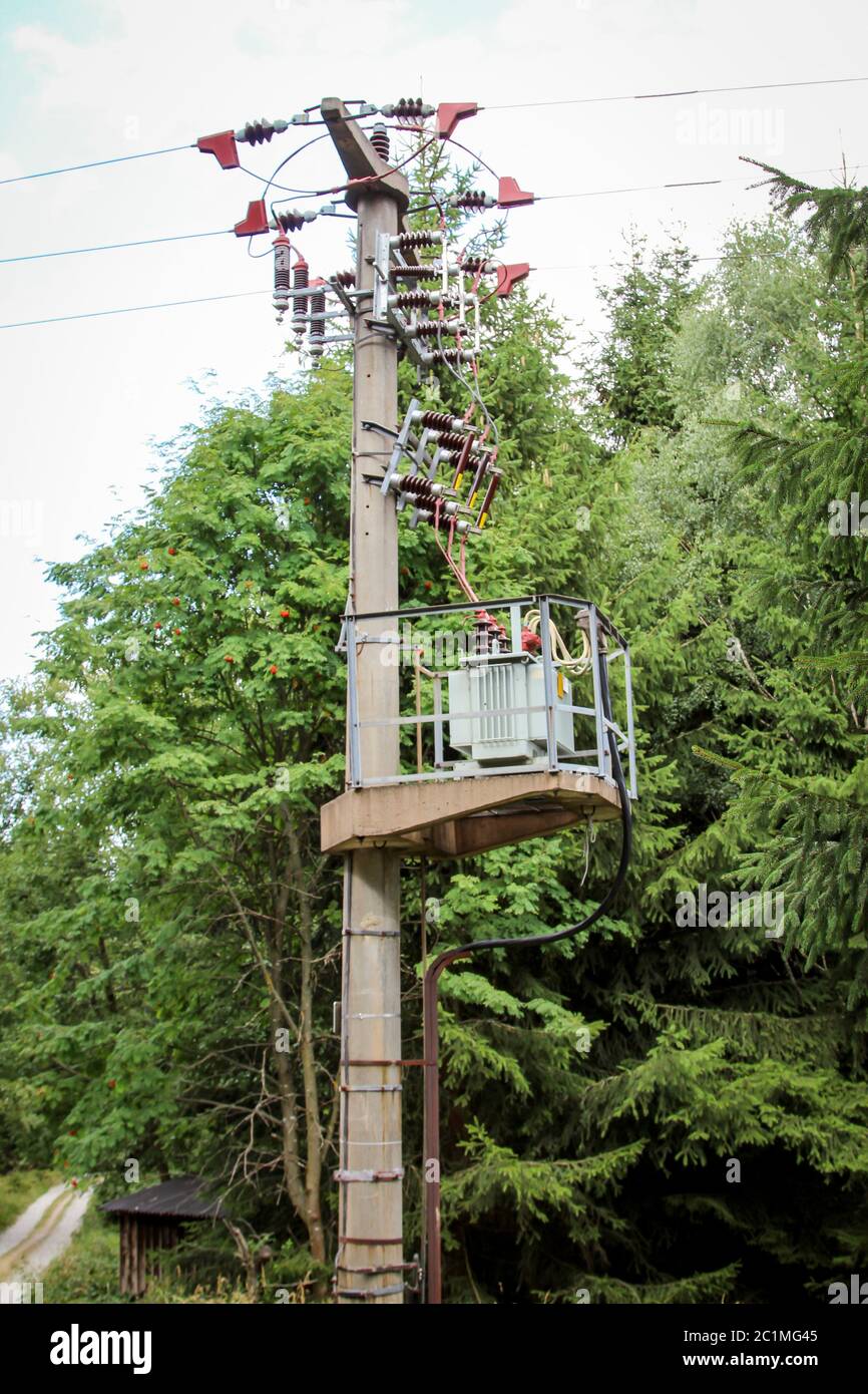 Elettricità pilone convertitore nella foresta Foto Stock