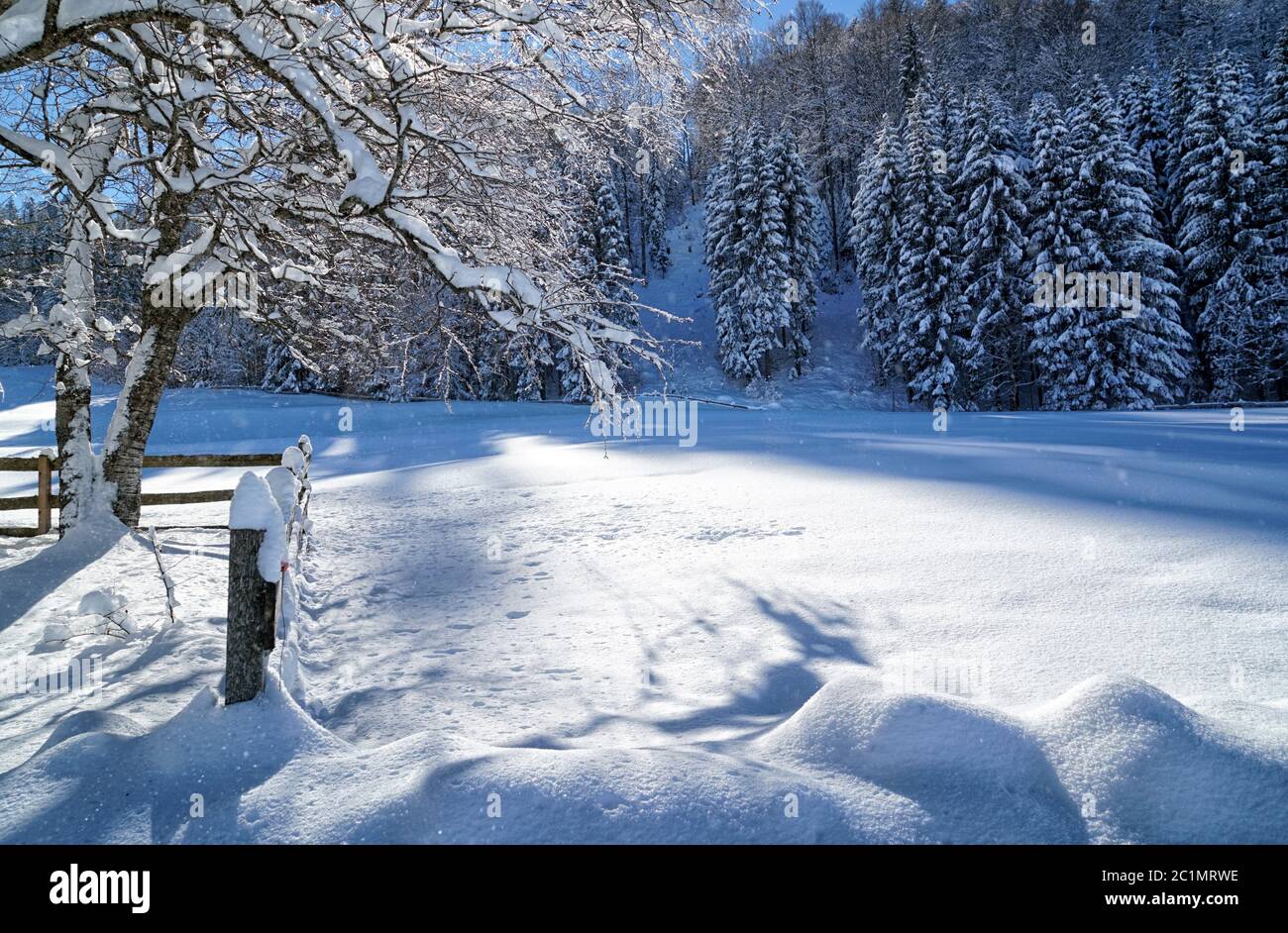 Gli inverni sognano Foto Stock