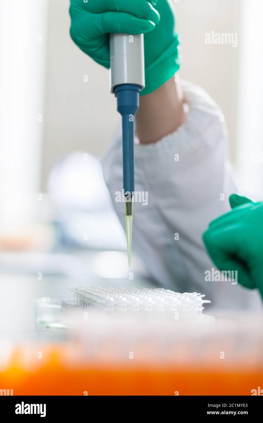 persone che lavorano in laboratorio Foto Stock