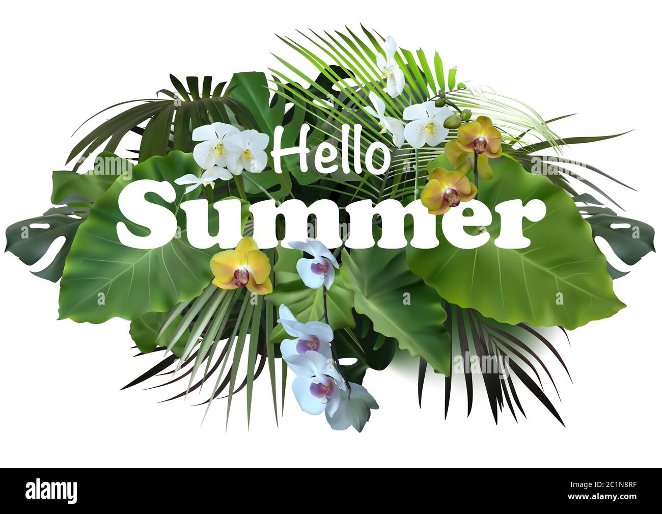 L'estate tropicale o Banner Flyer Design Foto Stock