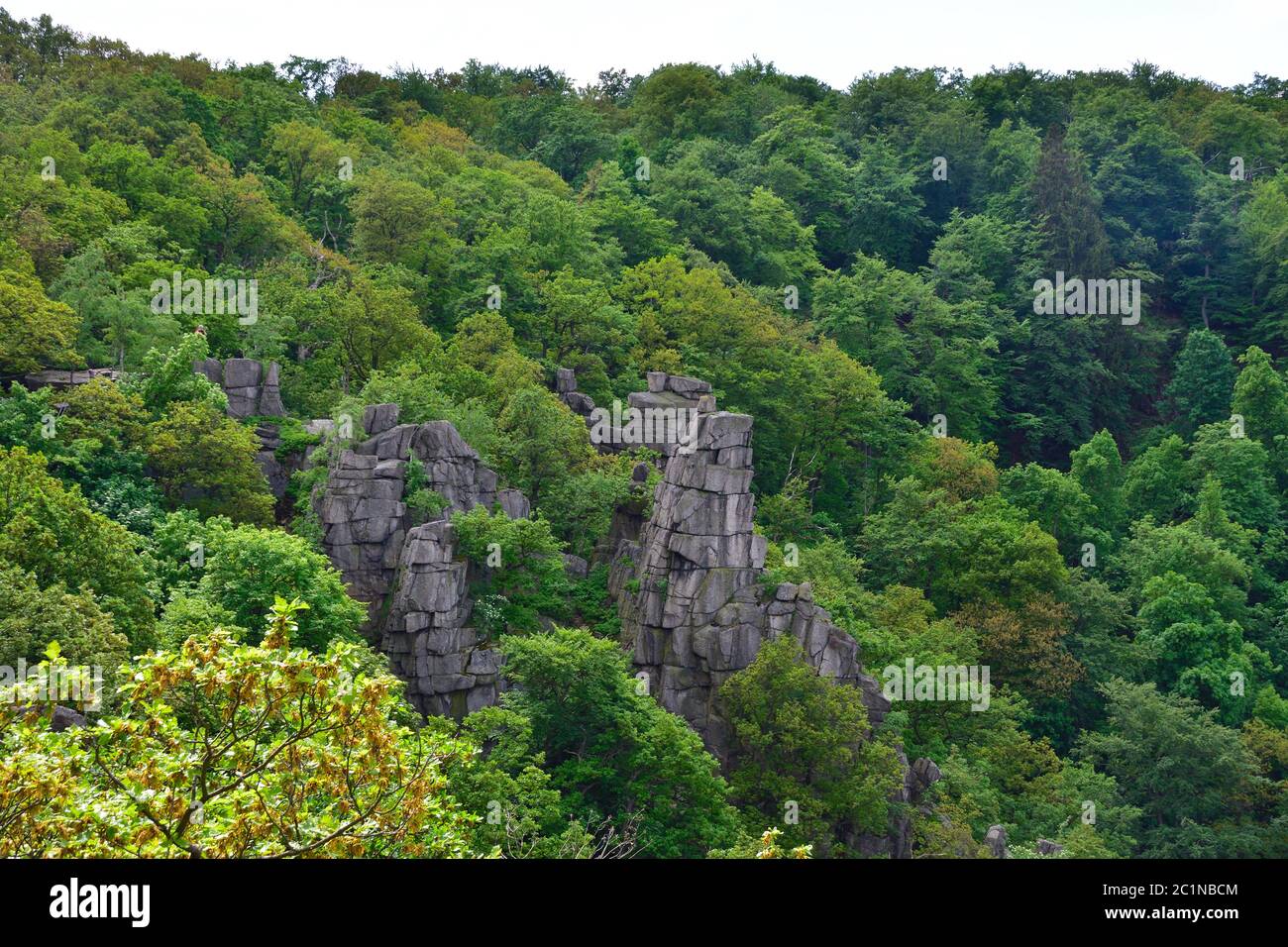 Montagna Rastrappe in germania vicino Thale Foto Stock