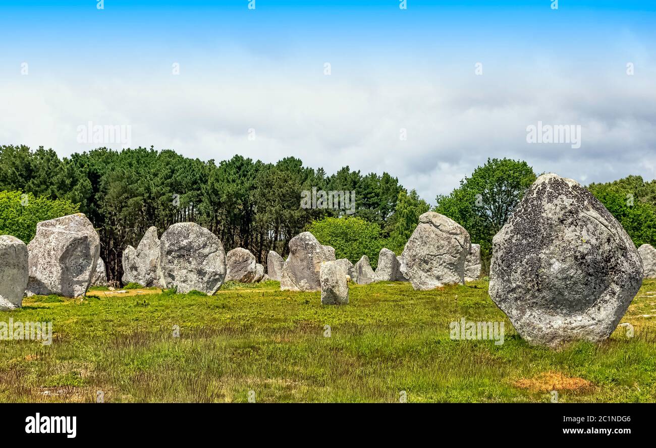 Alignements de Carnac - pietre Carnac a Carnac, Francia Foto Stock