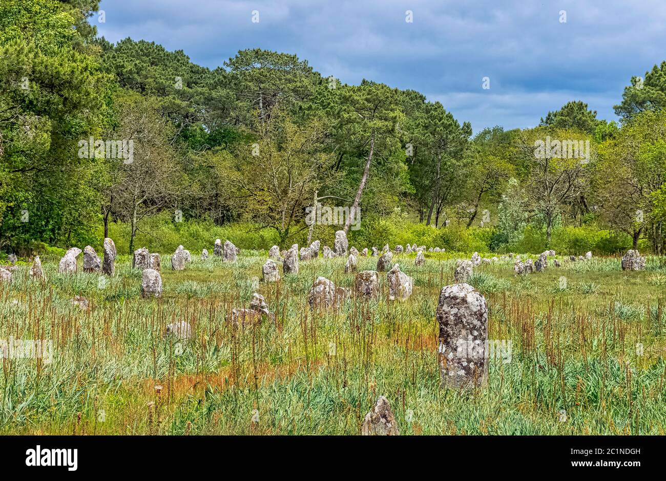 Alignements de Carnac - pietre Carnac a Carnac, Francia Foto Stock