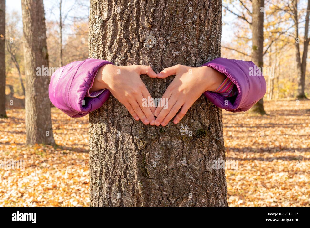 Proteggere e amare la natura Foto Stock