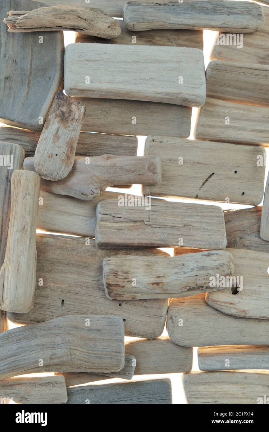 Driftwood background. Sea snags superficie. Driftwood grigio primo piano. Pezzi di legno di driftwood Texture. Foto Stock
