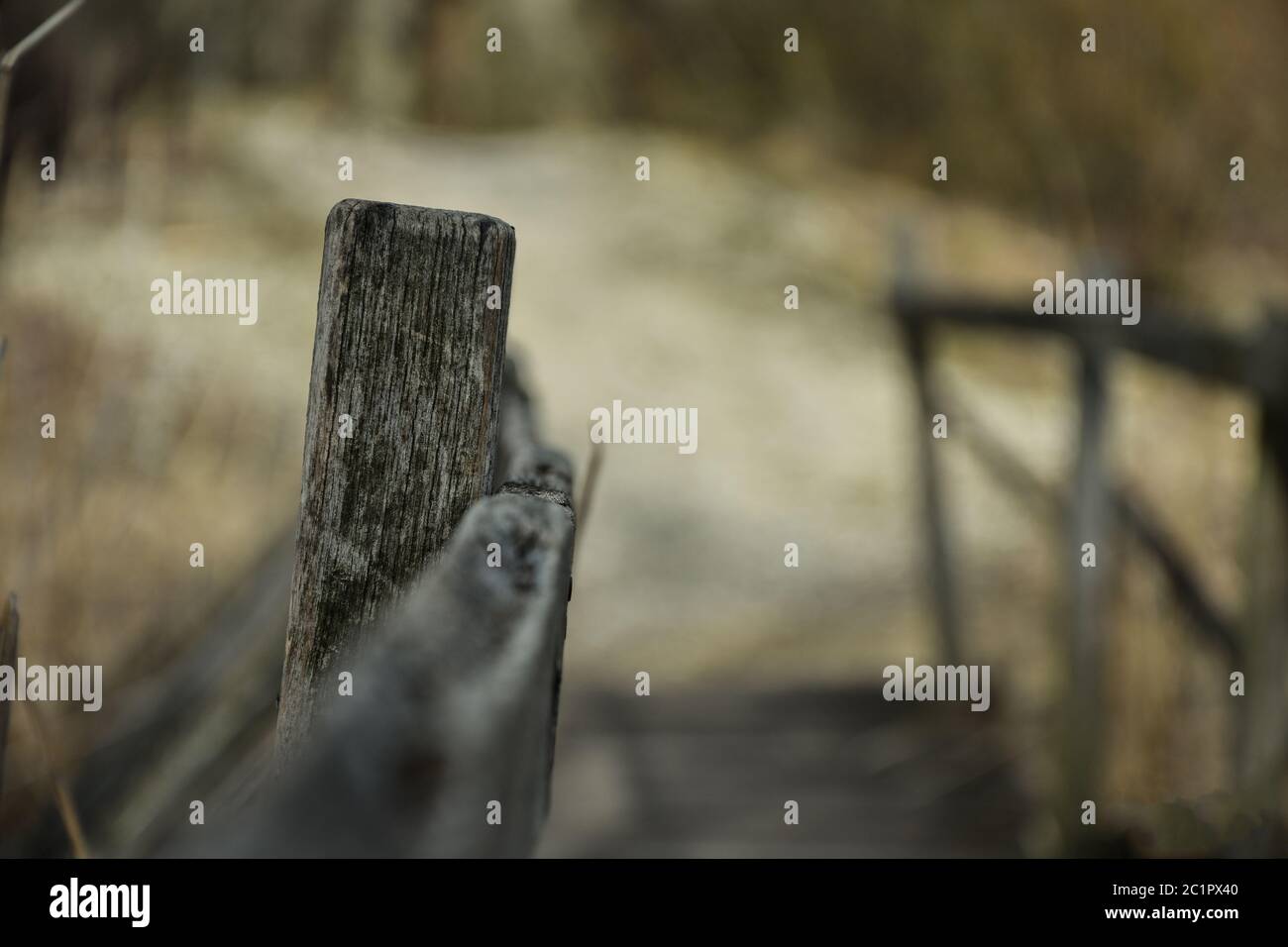 Ponte di legno Foto Stock
