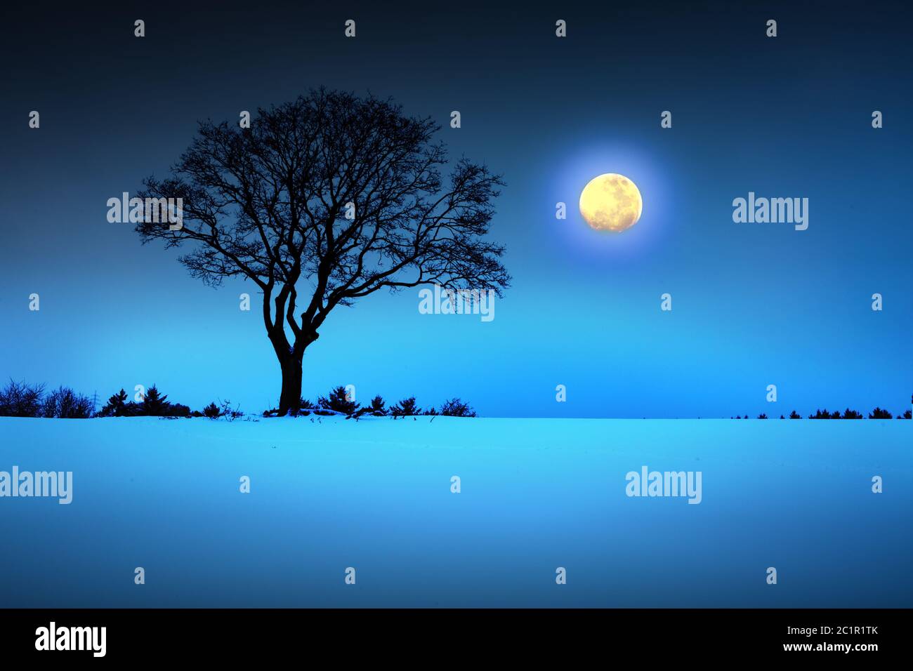 Paesaggio invernale con albero nero e luna piena. Foto Stock