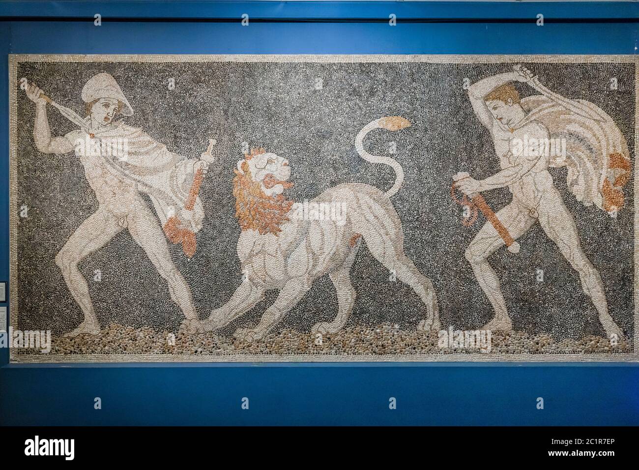 Caccia al Leone Mosaico, Museo Archeologico di Pella, Pella, Macedonia Centrale, Grecia, Europa Foto Stock