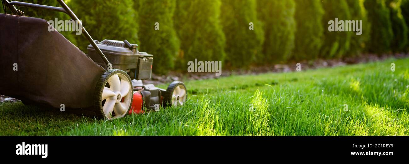 Tosaerba che taglia erba verde Foto Stock
