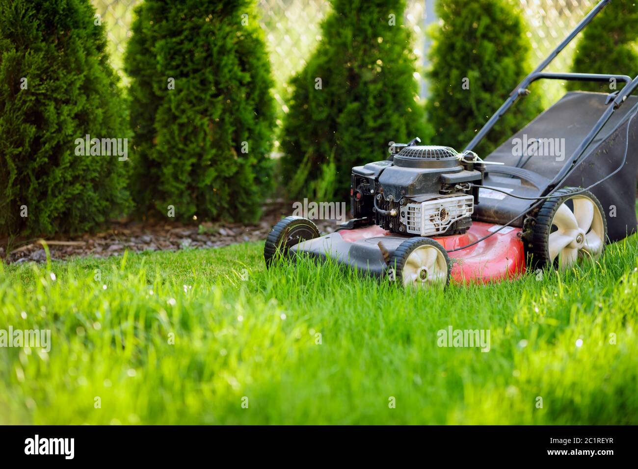 Tosaerba che taglia erba verde Foto Stock