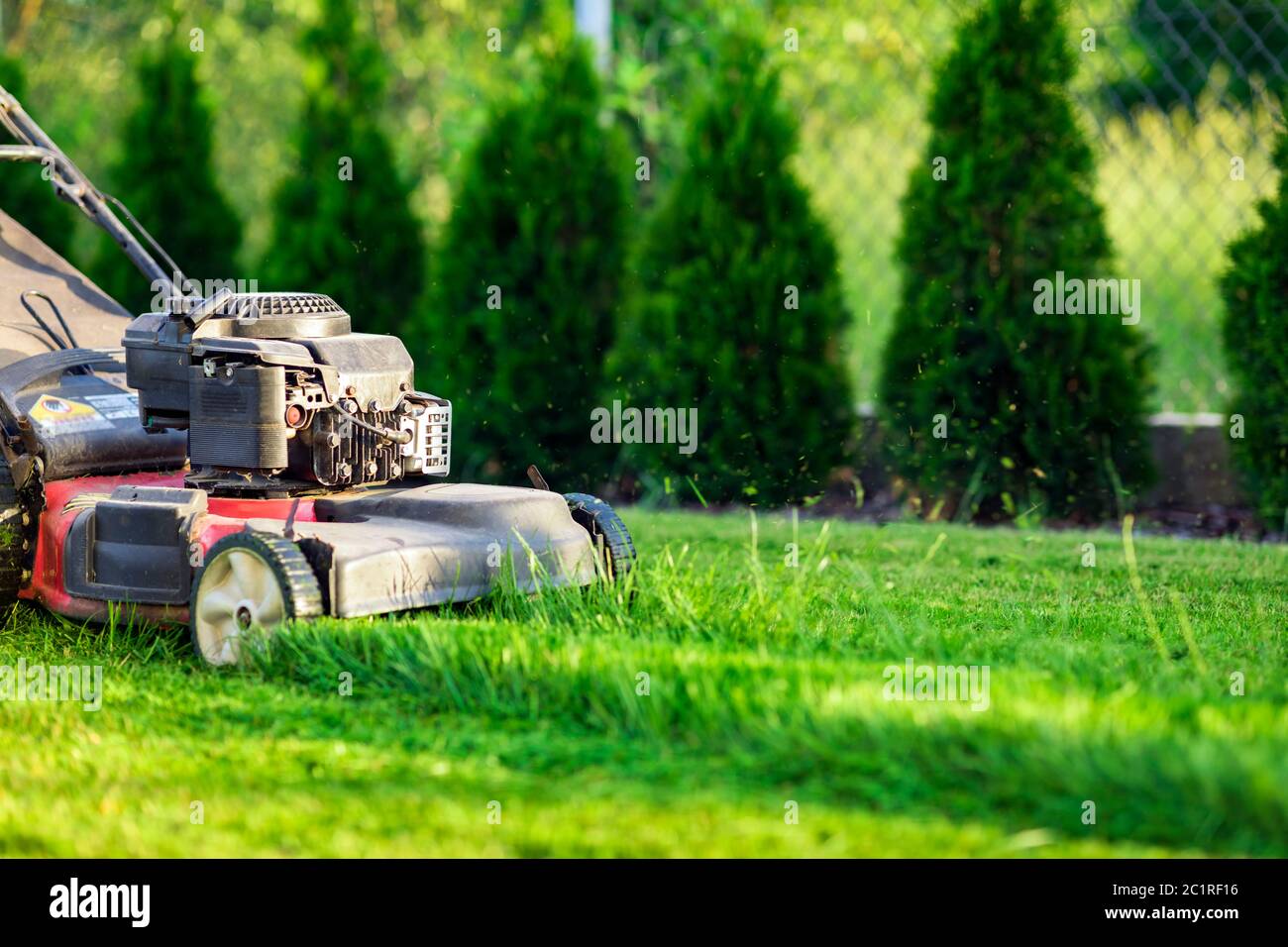Tosaerba che taglia erba verde Foto Stock
