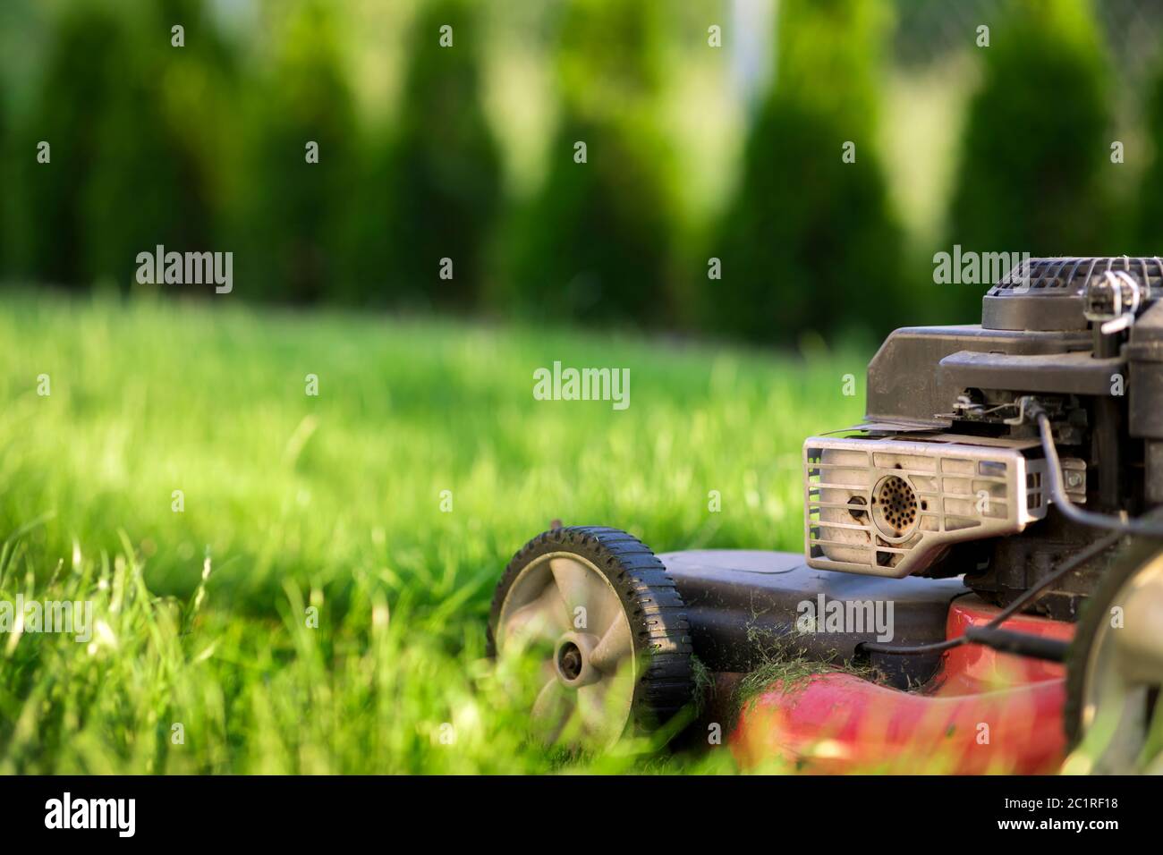 Tosaerba che taglia erba verde Foto Stock