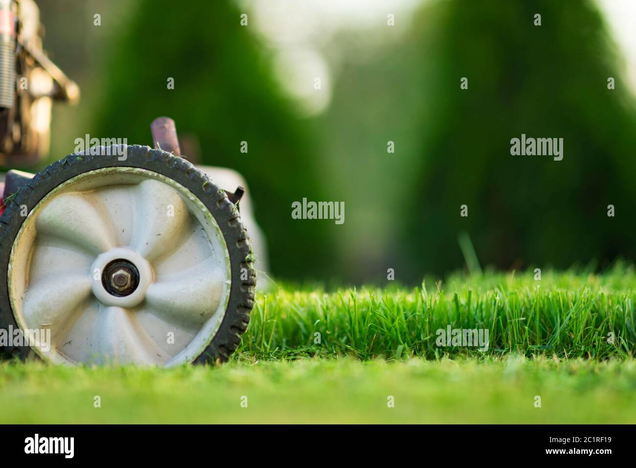 Tosaerba che taglia erba verde Foto Stock