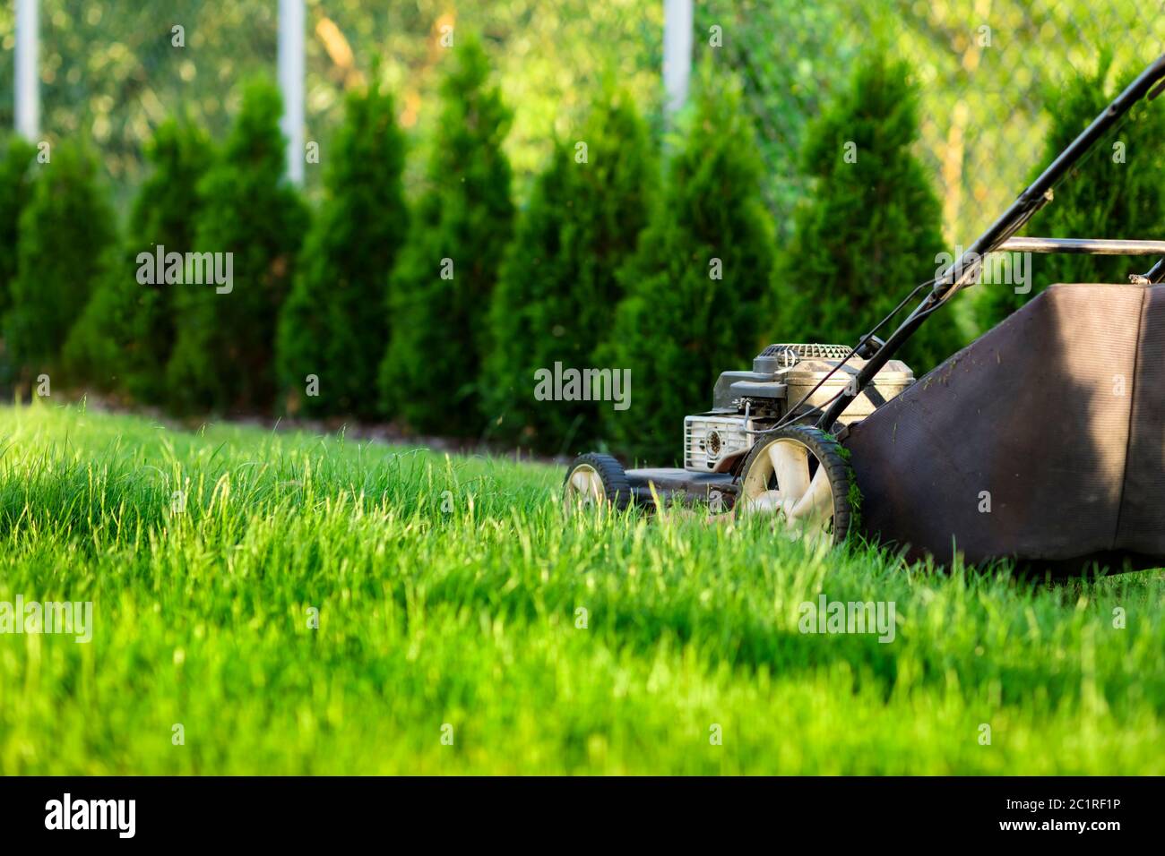 Tosaerba che taglia erba verde Foto Stock