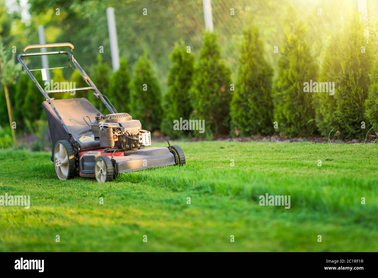 Tosaerba che taglia erba verde Foto Stock