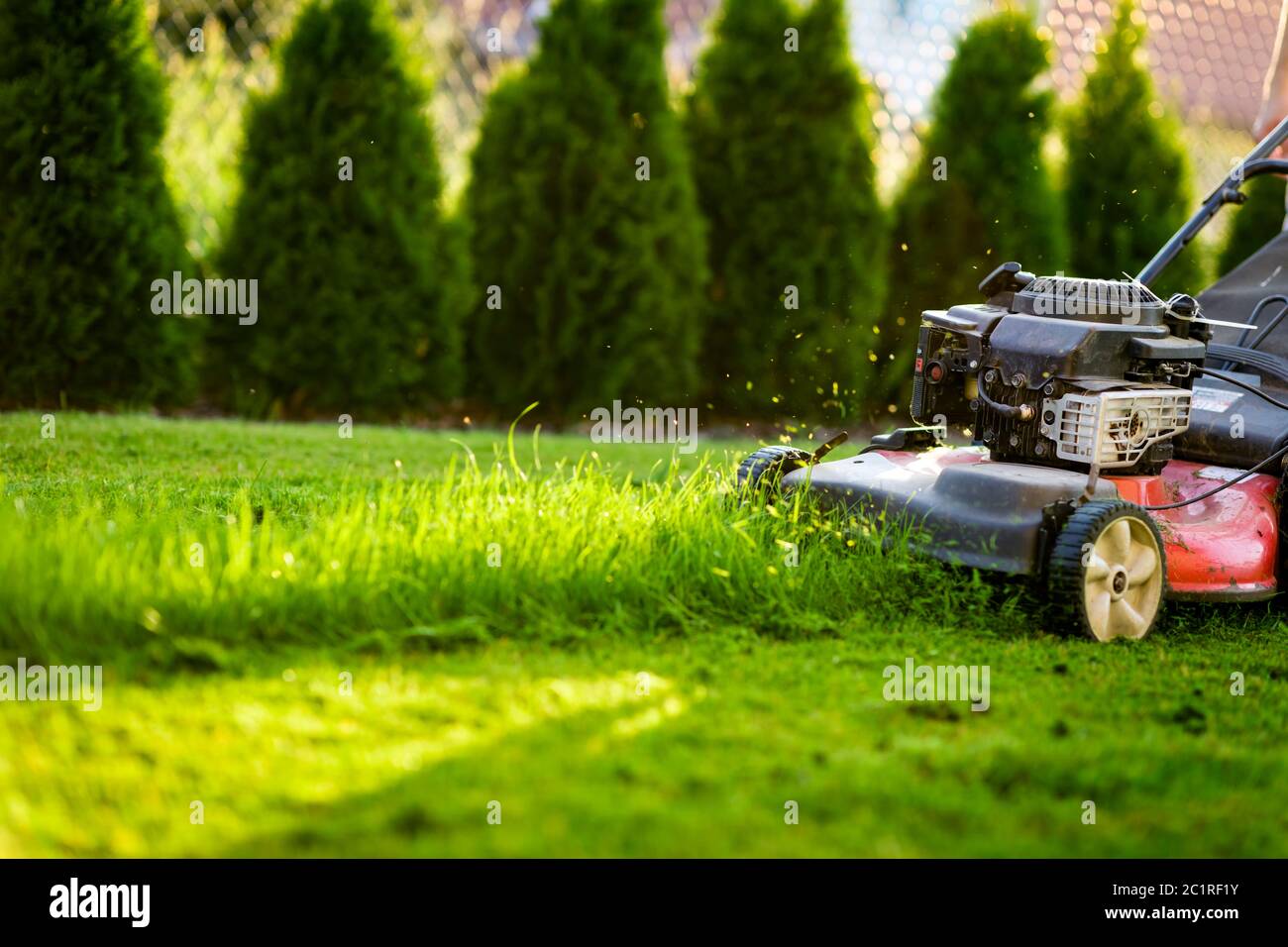 Tosaerba che taglia erba verde Foto Stock
