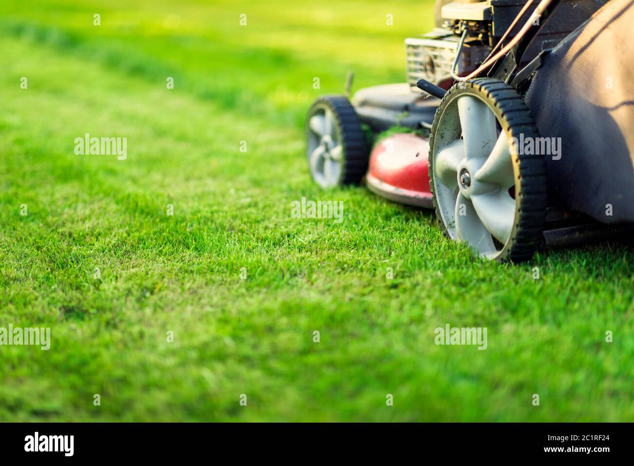 Tosaerba che taglia erba verde Foto Stock