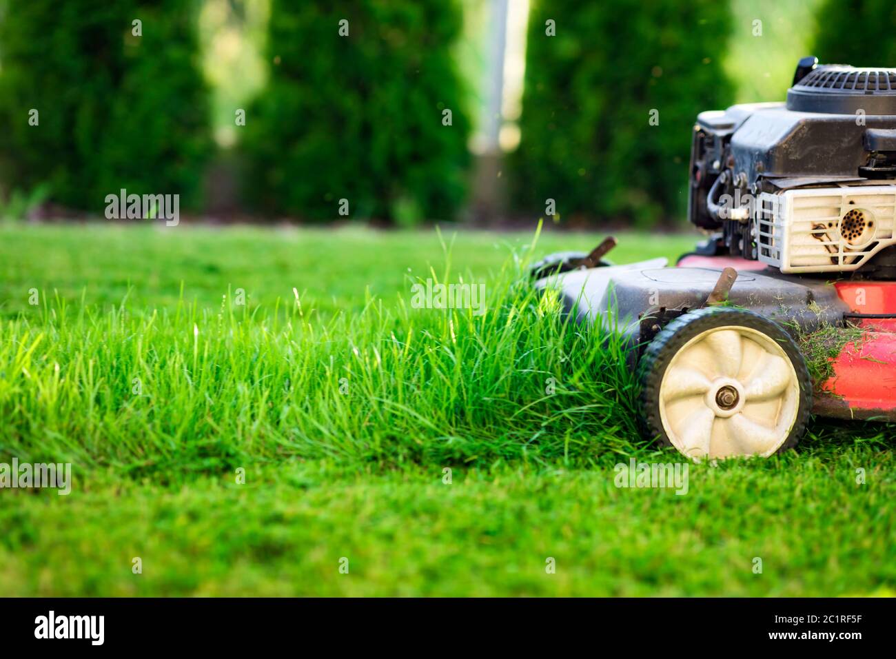 Tosaerba che taglia erba verde Foto Stock