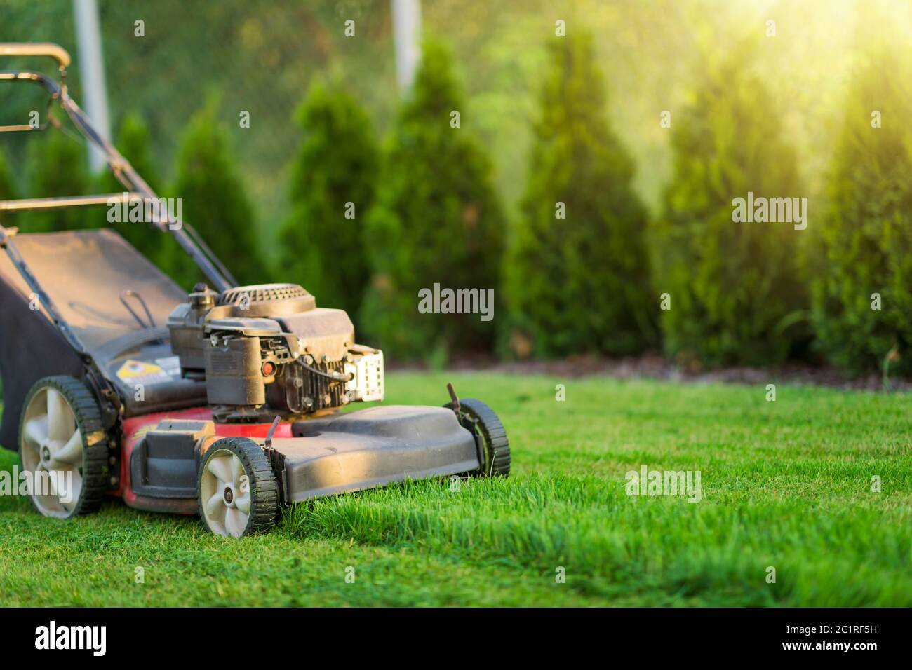 Tosaerba che taglia erba verde Foto Stock