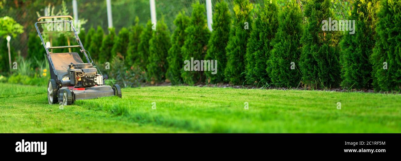 Tosaerba che taglia erba verde Foto Stock