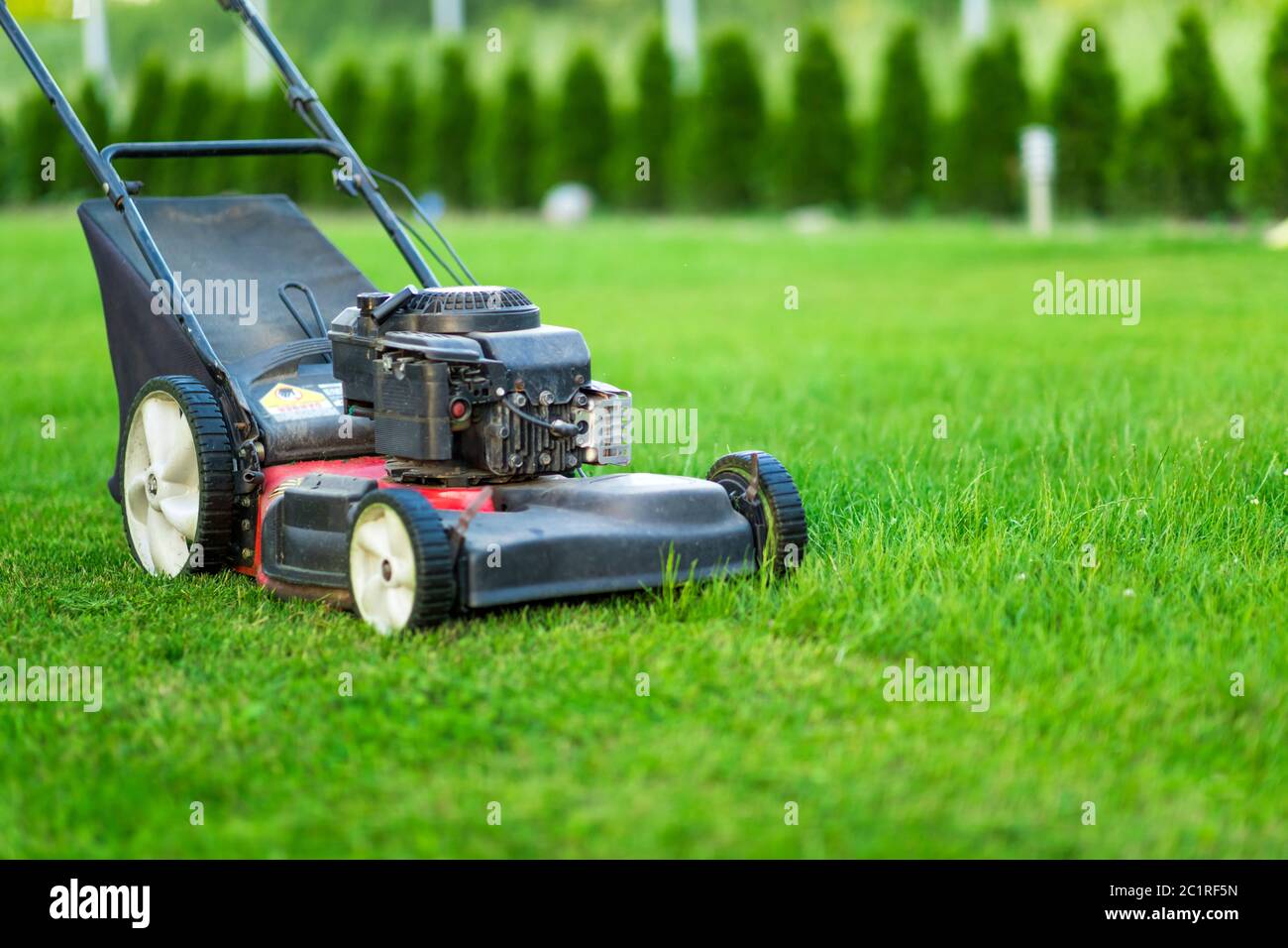 Tosaerba che taglia erba verde Foto Stock