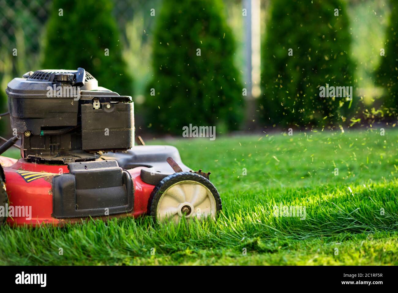 Tosaerba che taglia erba verde Foto Stock
