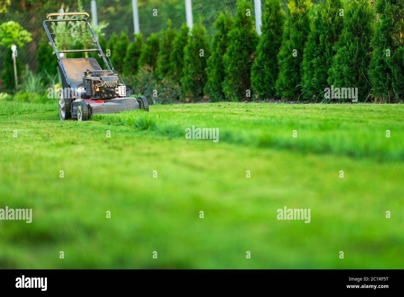 Tosaerba che taglia erba verde Foto Stock