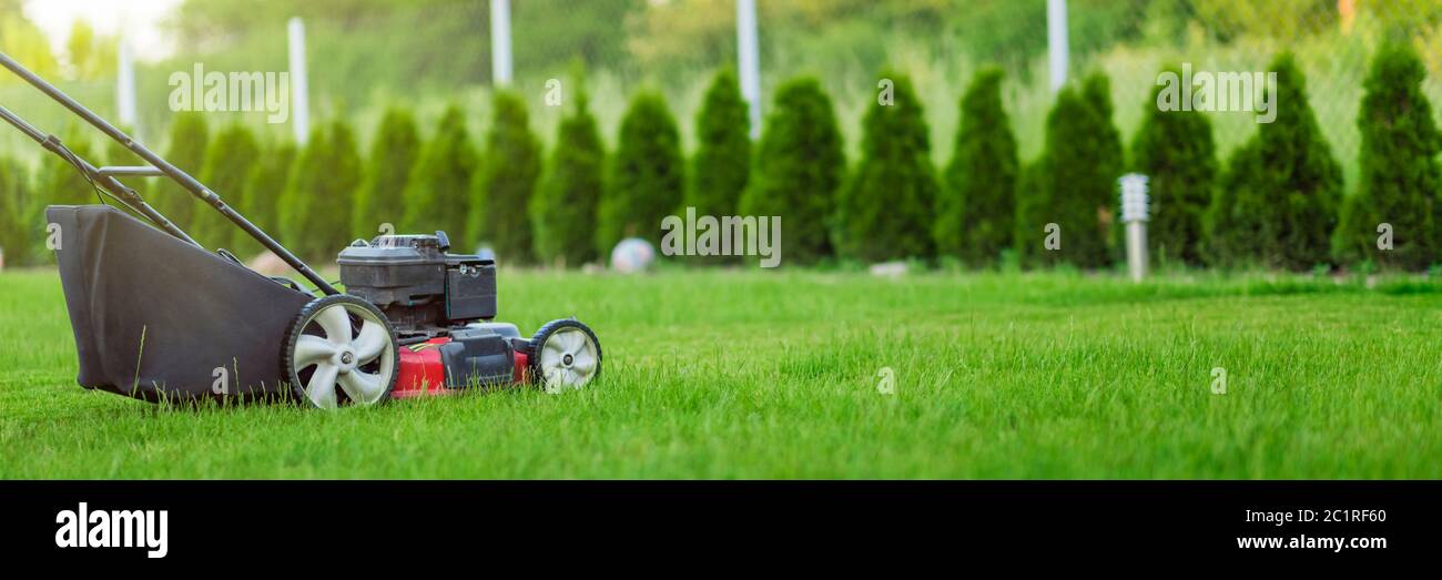 Tosaerba che taglia erba verde Foto Stock