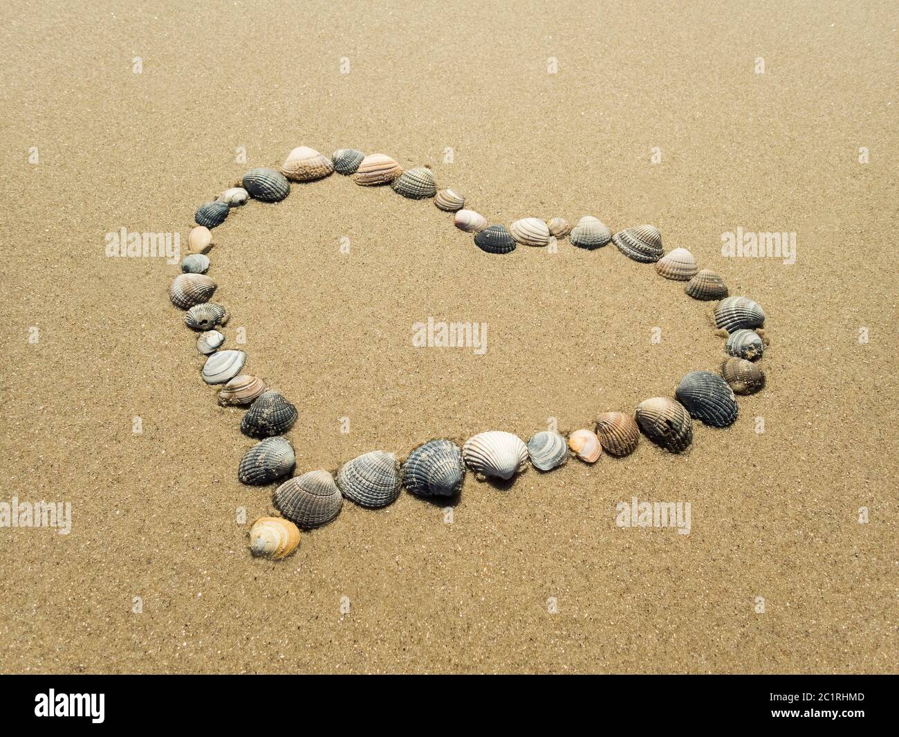 Germania, Wangerooge - cuore di conchiglie Foto Stock