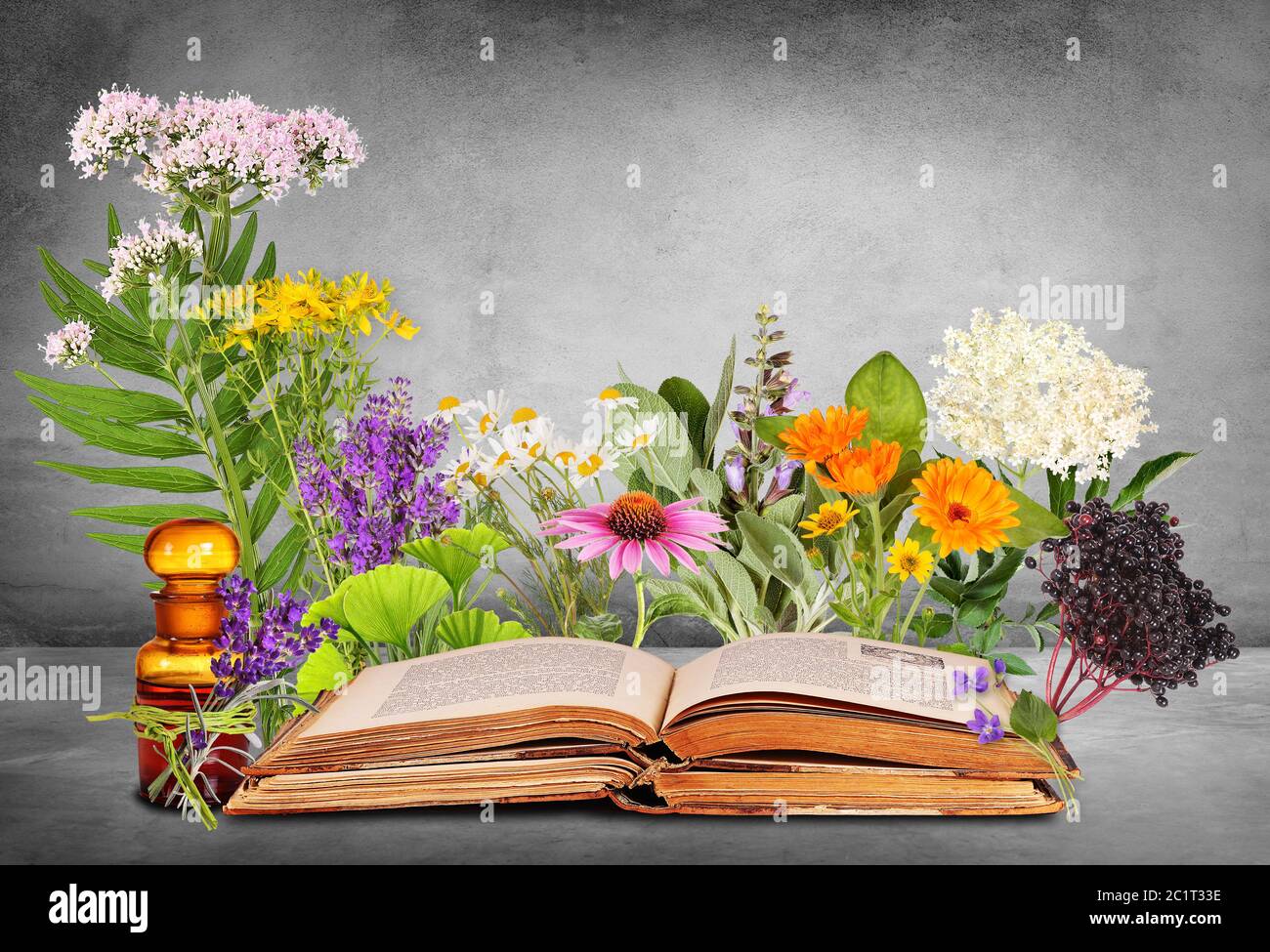 Piante mediche con libri antichi e bottiglia di vetro Foto Stock