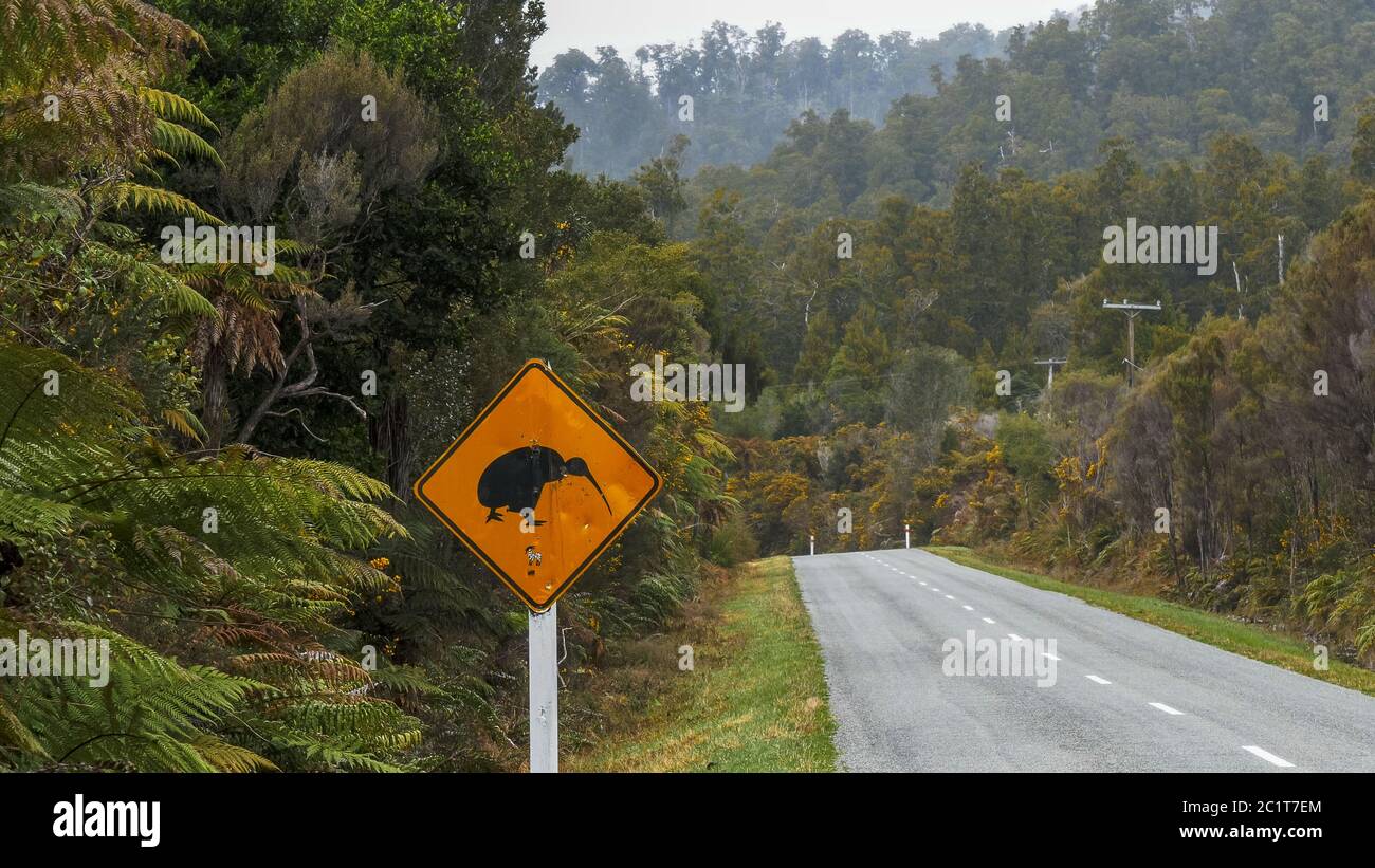 cartello stradale kiwi sull'isola sud della nuova zelanda Foto Stock