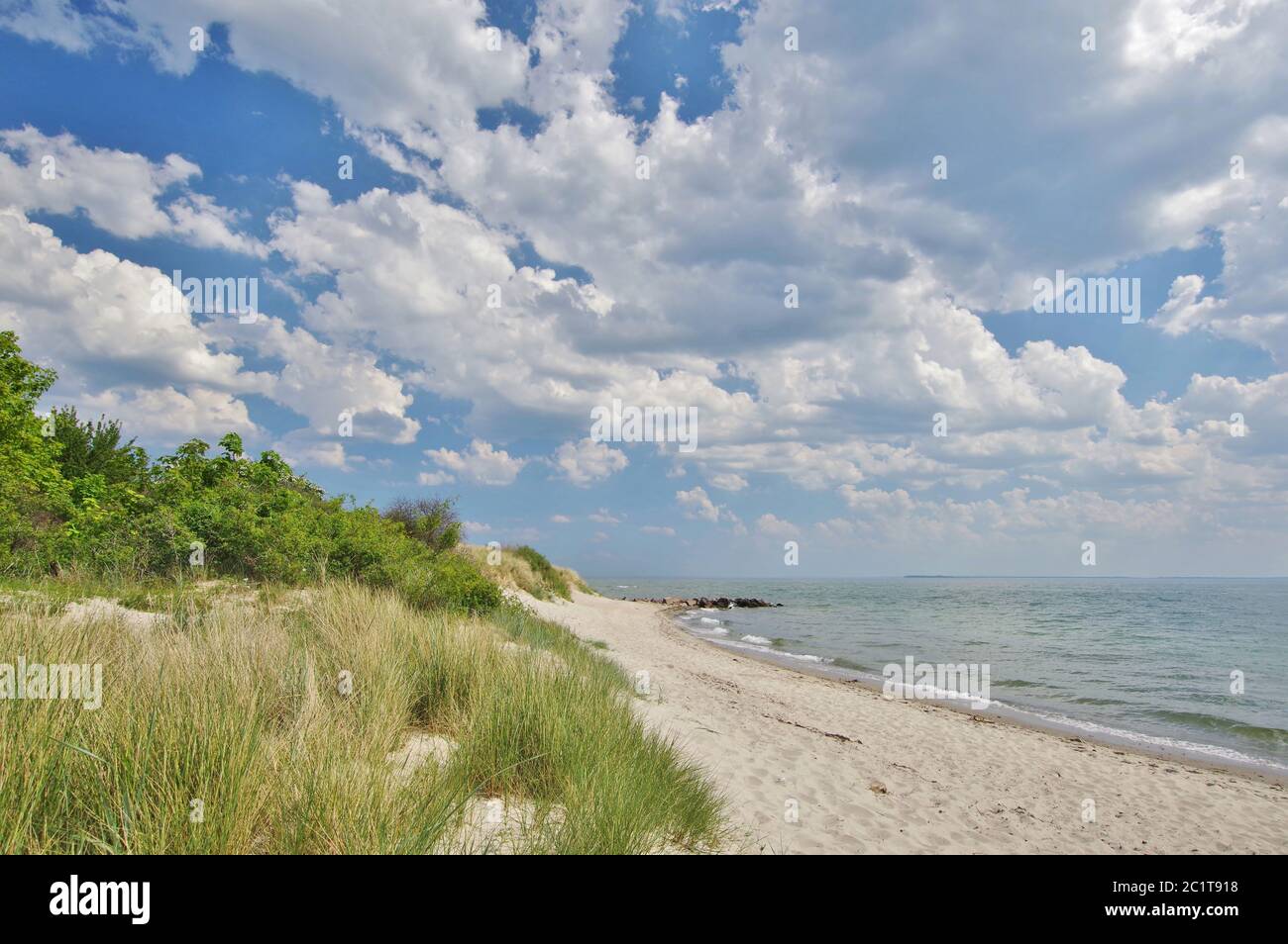 Sulla spiaggia di sabbia, SÃ¼dperd, Thiessow, MÃ¶nchgut, Isola di RÃ¼gen, Germania, Europa occidentale Foto Stock