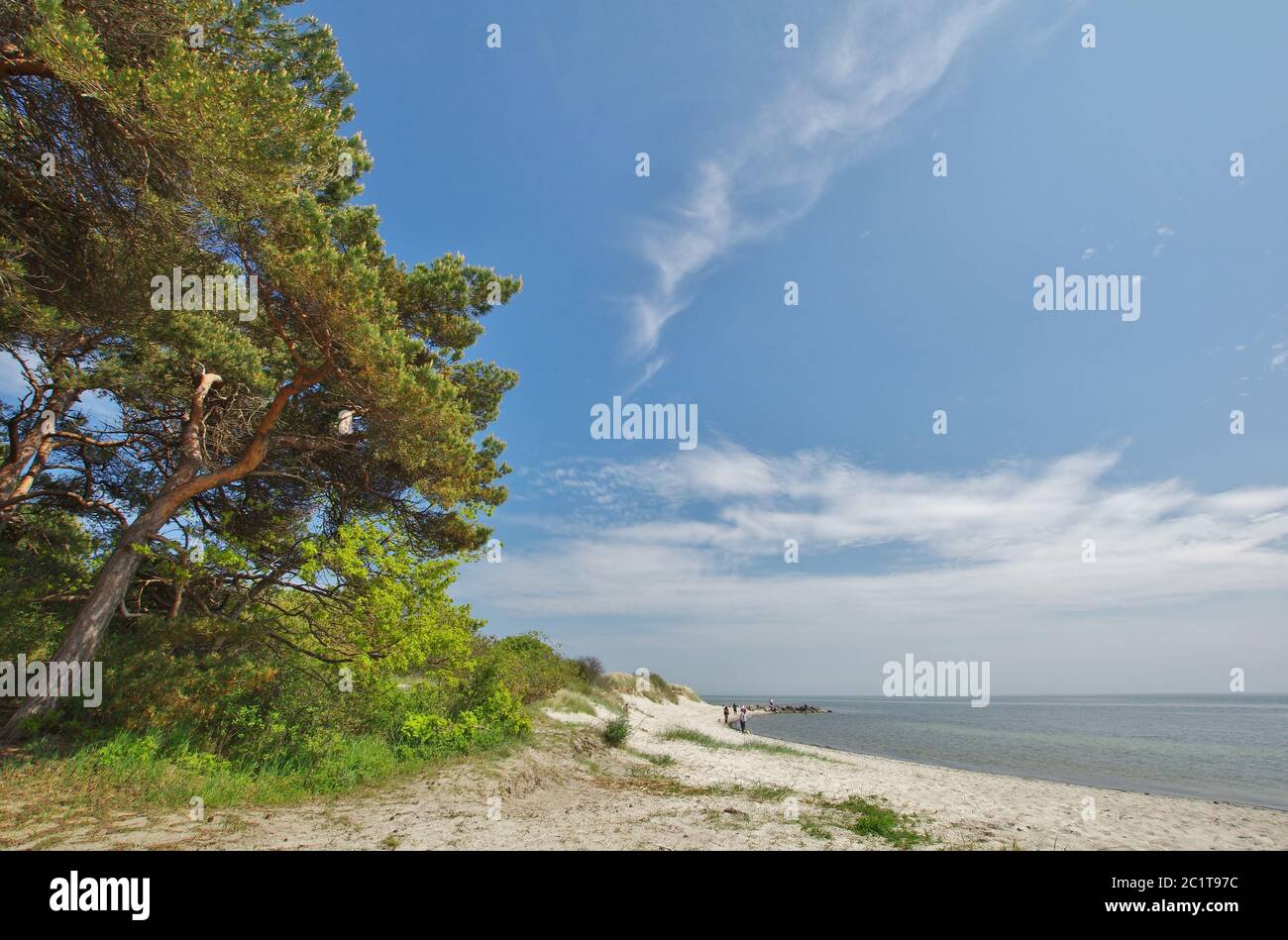 Sulla spiaggia di sabbia, SÃ¼dperd, Thiessow, MÃ¶nchgut, Isola di RÃ¼gen, Germania, Europa occidentale Foto Stock