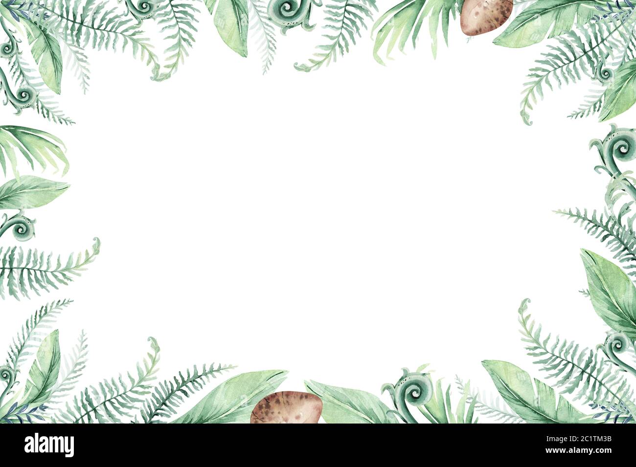 Carino cartoon baby dinosaurs collezione illustrazione acquerello, dipinto a mano dino isolato su uno sfondo bianco per la decorazione di poster per vivaio. Rex Foto Stock