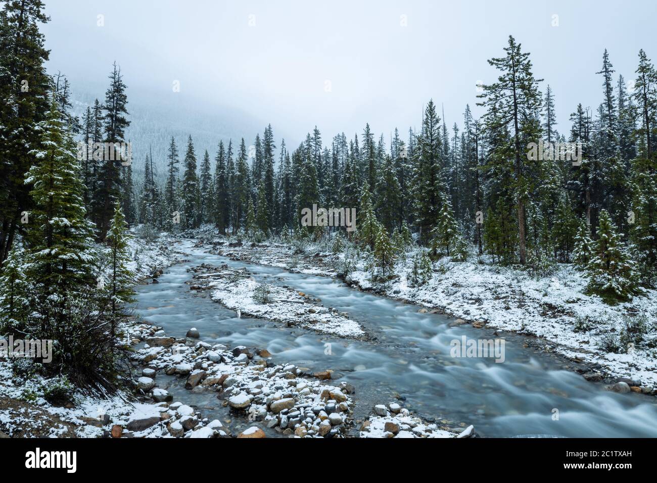 Torrente di montagna in inverno in Canada Foto Stock