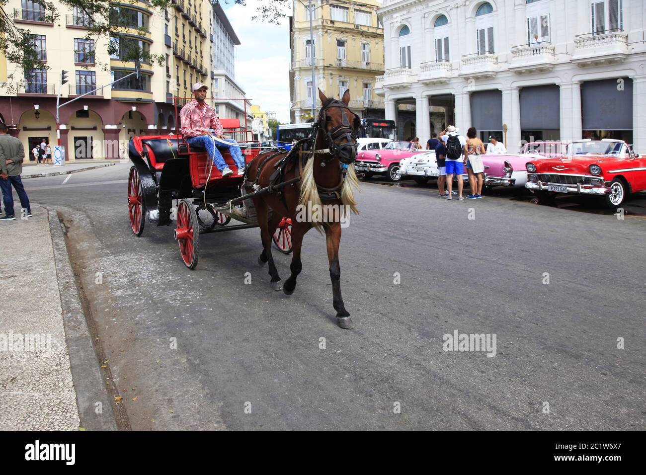 L'uomo cubano corre un cavallo e una carrozza per le strade dell'Avana. Cuba Foto Stock
