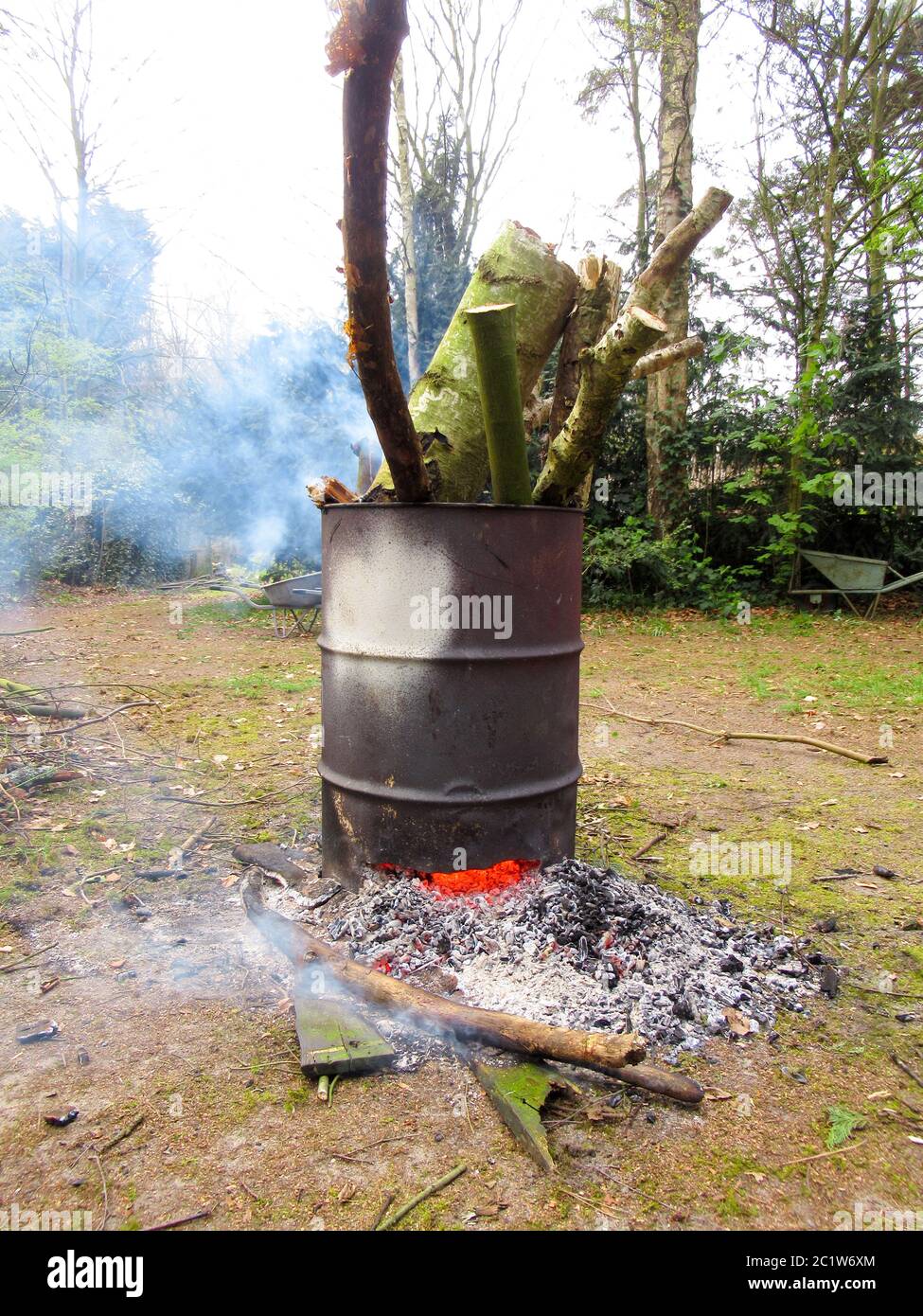 barile falò all'interno di una radura di forrest Foto Stock