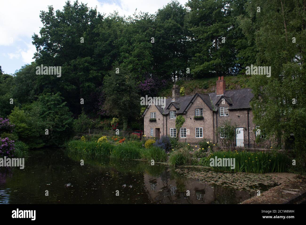 Maggio 2020 (Lymm, Cheshire) una vista di una fila cottage villaggio con alberi sullo sfondo e un villaggio stagno in primo piano Foto Stock