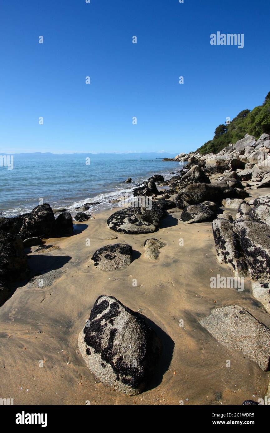 Natura della Nuova Zelanda. Spiaggia vicino a Kaiteriteri nel quartiere di Tasman. Foto Stock