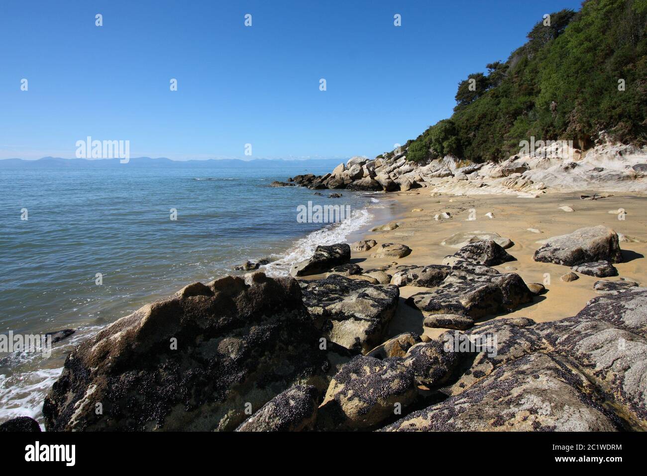 Isola del Sud, natura della Nuova Zelanda. Spiaggia vicino a Kaiteriteri nel quartiere di Tasman. Foto Stock