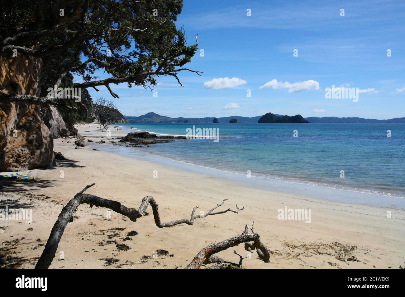 Paesaggio Coromandel in Nuova Zelanda. Hahei Beach. Foto Stock