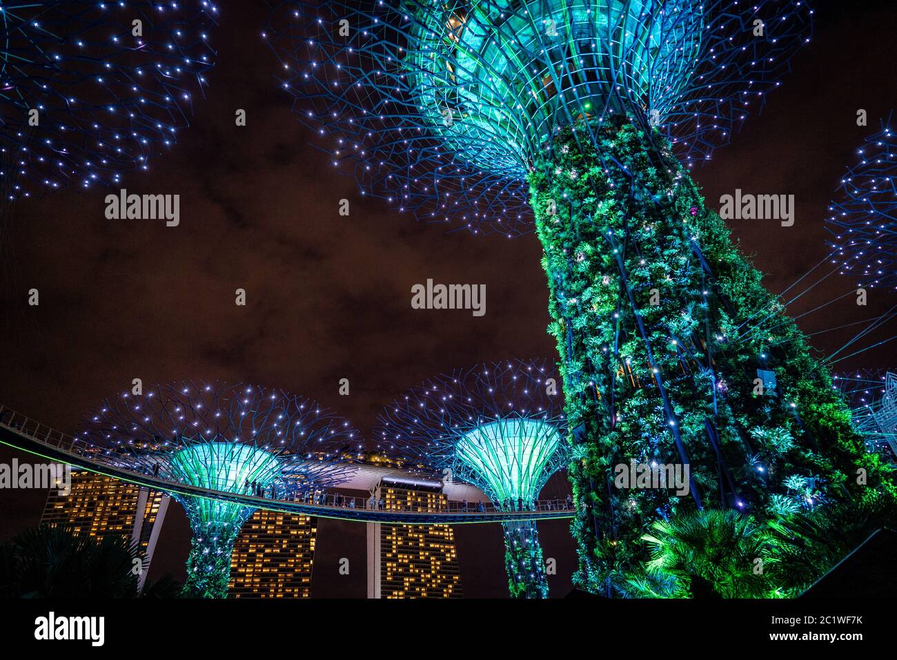 Singapore Marina Bay Cloud Forest Foto Stock