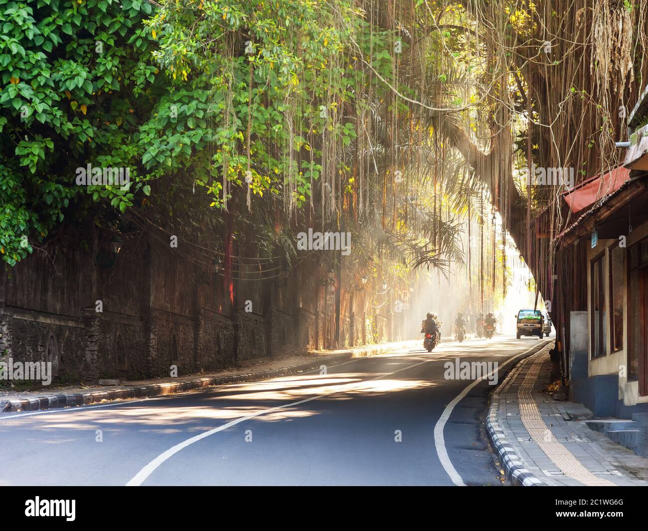 Curva strada attraverso la città di Ubud, Bali, Indonesia Foto Stock